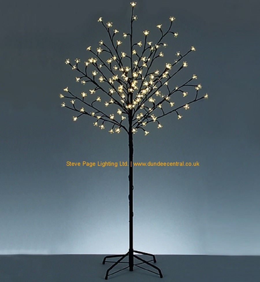 fairylight tree hire dundee